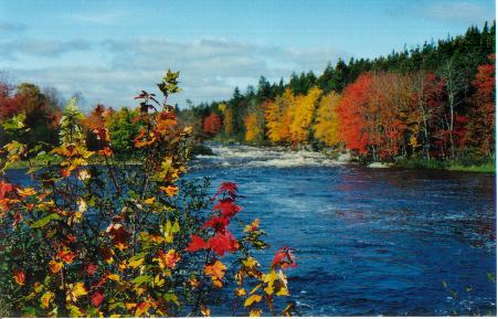 Musquodoboit River: Mi'kmaq Canoe Route, Halifax County, Nova Scotia
